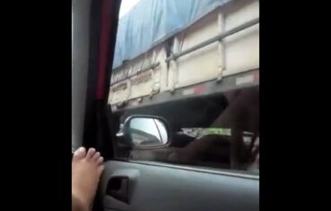 Esposa Peladinha Dentro do Carro Se Exibe Para Caminhoneiros
