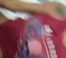 Júlia carioca morena gostosa se masturba peladinha no hotel flor do ipiranga