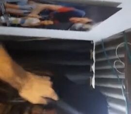 Mulata ninfeta sentando gostoso no pau sem camisinha até gozar